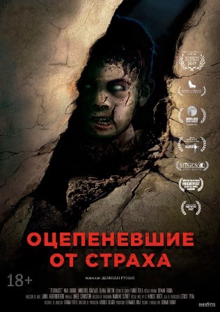 Оцепеневшие от страха (2018) скачать торрент