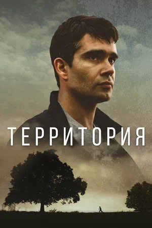 Территория (1,2,3,4,5,6,7,8 серия) (2017) скачать торрент