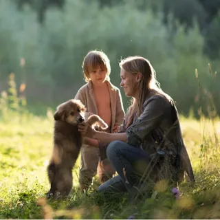 1634702005823-png.46457