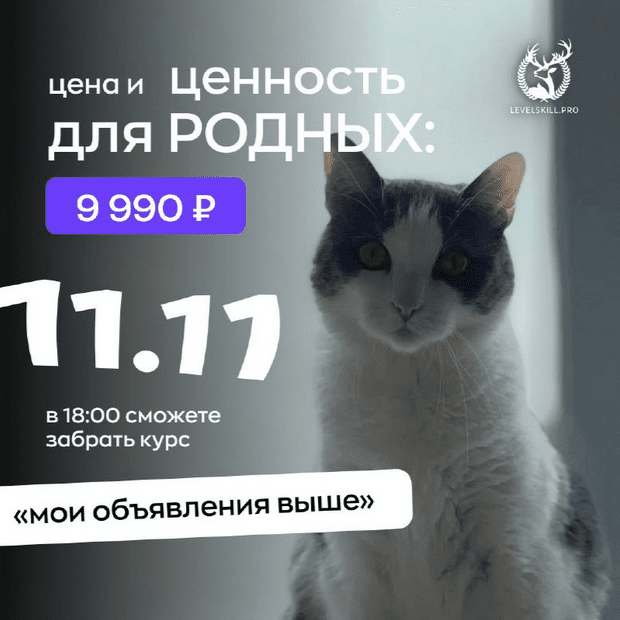 1732783476539-png.58107