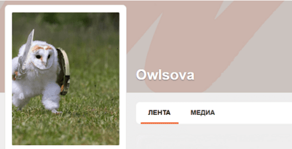 1736445861318-png.58608