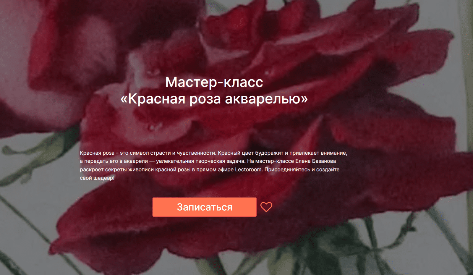 1739815741620-png.59210