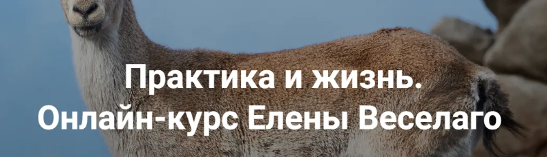 2024-08-30_16-14-10-png.57285