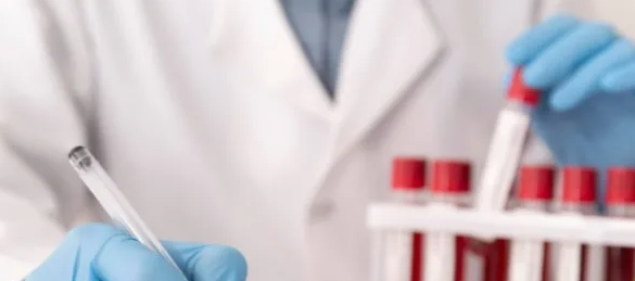 2025-02-19_12-18-22-png.59233