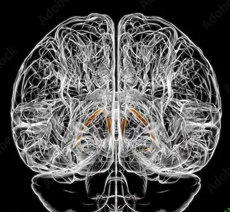 2025-02-21_11-38-19-png.59280