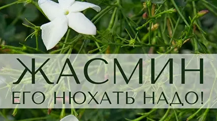 2025-04-24_11-11-56-png.60692