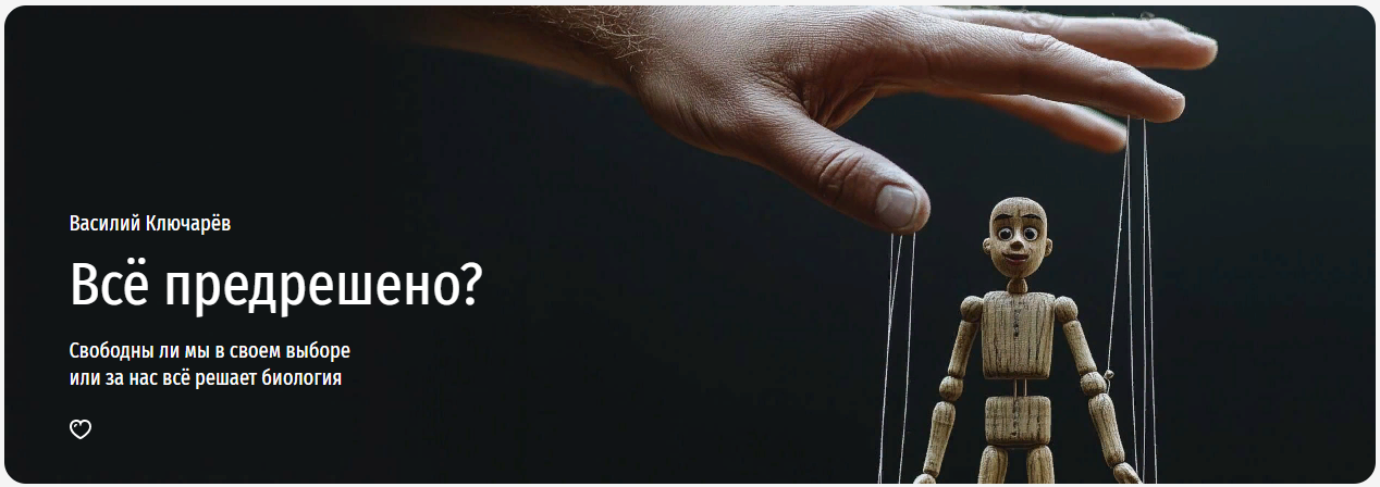 2025-04-29_06-27-25-png.60813