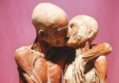 2025-05-01_12-16-35-png.60869