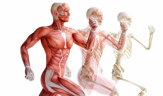 2025-06-06_13-45-21-png.61656