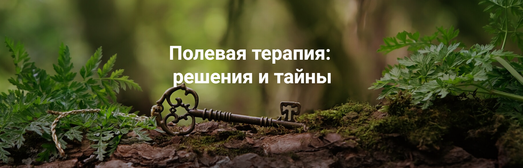 2025-09-14_12-12-07-png.63365