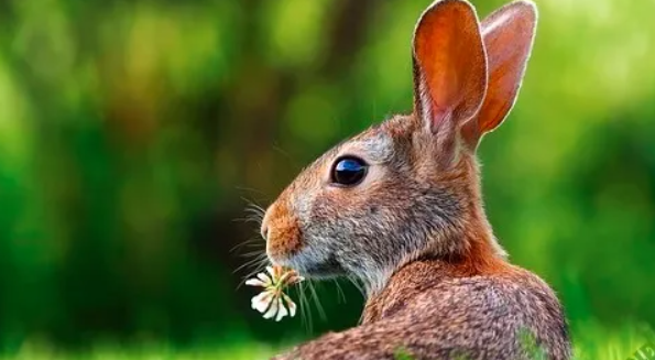 2025-09-20_13-14-30-png.63444