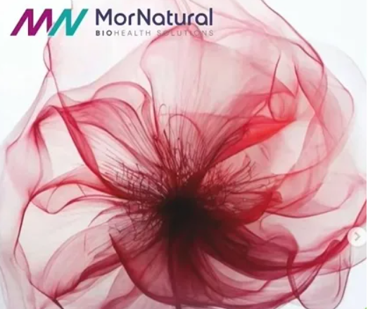 2025-09-26_11-40-38-png.63532