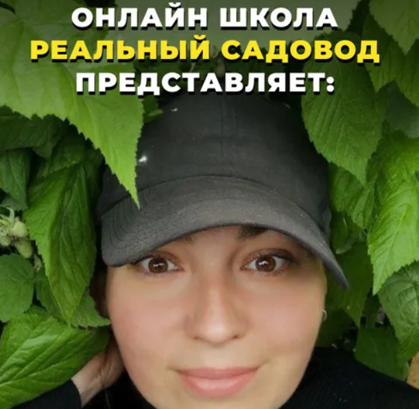 2025-10-25_12-41-57-png.63964