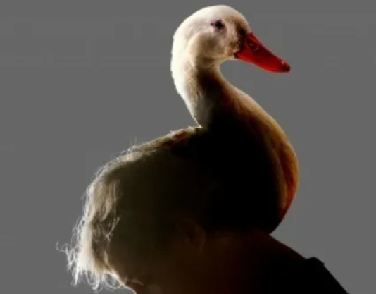 2025-11-26_10-17-23-png.64386