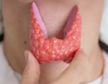 2025-12-18_23-09-02-png.64624