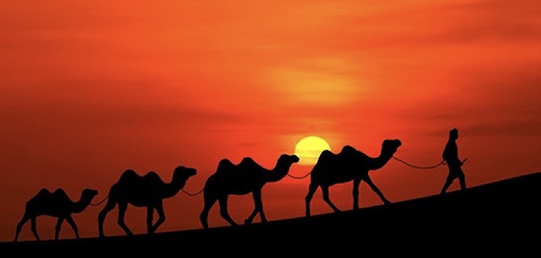 2f894cd0-f98d-4edd-bacd-7b6d08421dc5-jpeg.51484