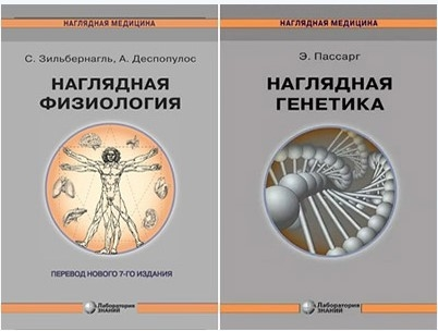 bezymjannyj-png.42850